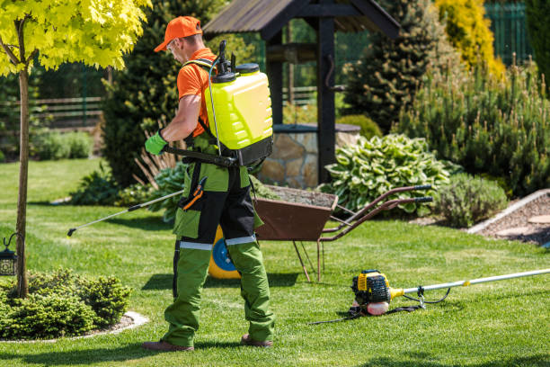 Best Bee and Wasp Removal  in Day Heights, OH